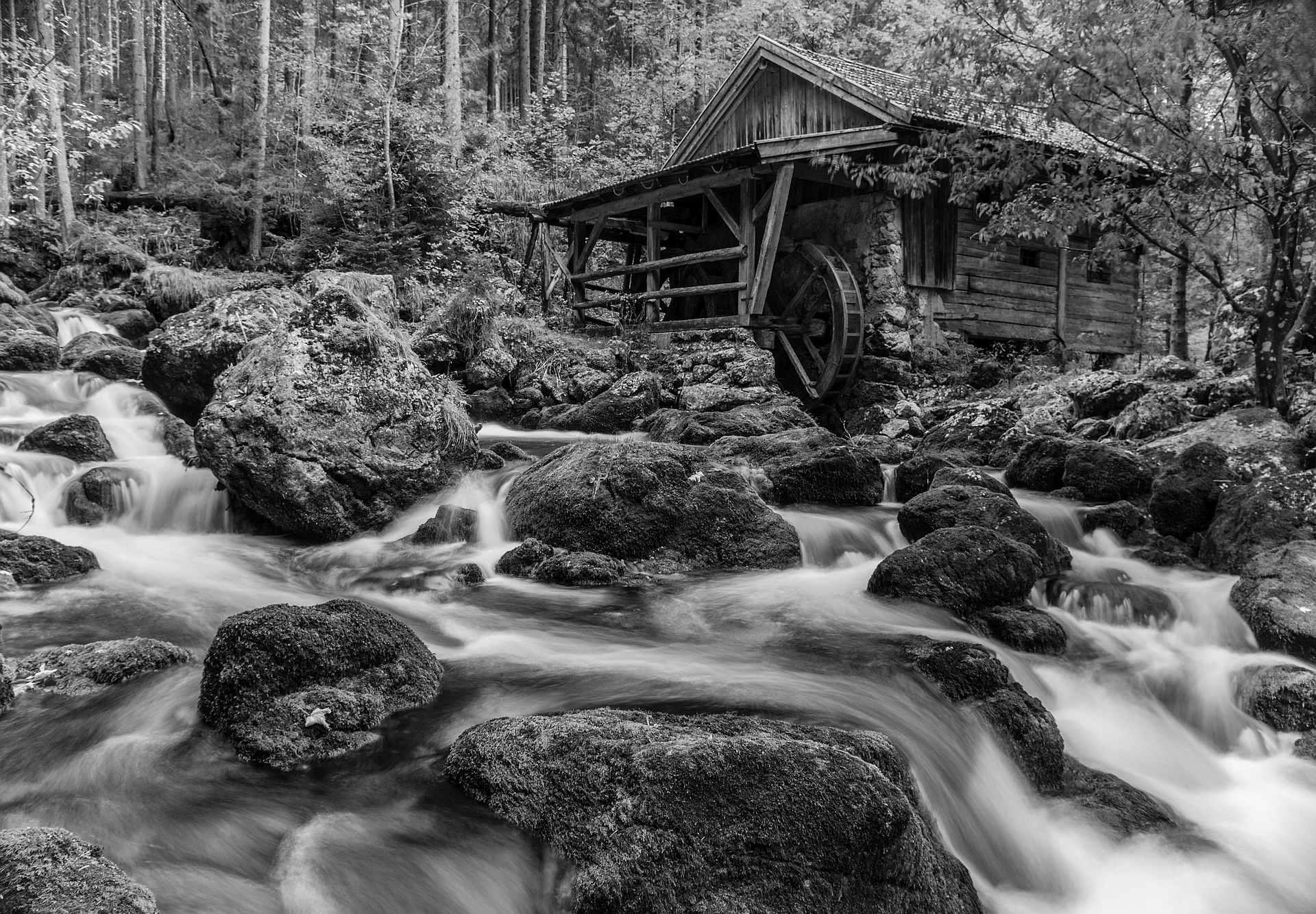 25 P Gollingermuhle_Reinhold Schiemer